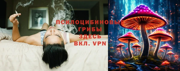 хмурый Бронницы